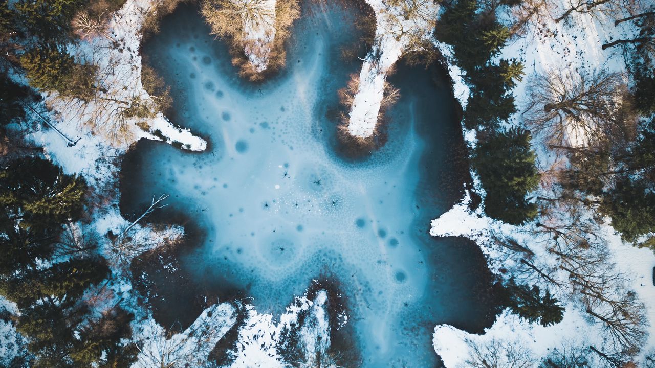 Wallpaper pond, winter, snow, ice, trees, netherlands