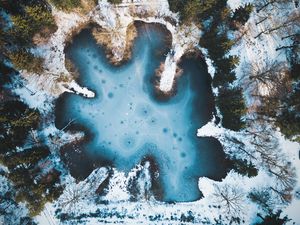 Preview wallpaper pond, winter, snow, ice, trees, netherlands