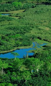 Preview wallpaper ponds, river, grass, top view, summer