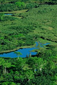 Preview wallpaper ponds, river, grass, top view, summer