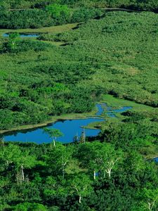 Preview wallpaper ponds, river, grass, top view, summer