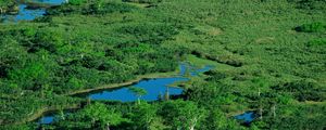 Preview wallpaper ponds, river, grass, top view, summer