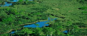 Preview wallpaper ponds, river, grass, top view, summer