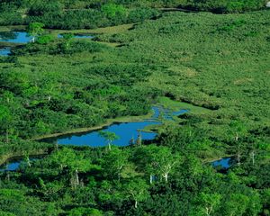 Preview wallpaper ponds, river, grass, top view, summer