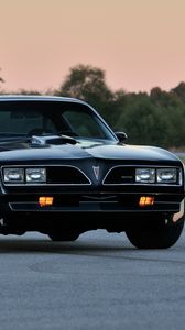 Preview wallpaper pontiac, firebird, trans am, ws6