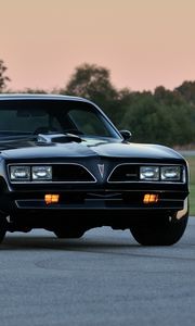 Preview wallpaper pontiac, firebird, trans am, ws6