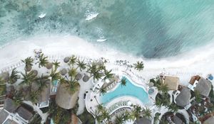 Preview wallpaper pool, coast, palm trees, aerial view