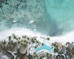 Preview wallpaper pool, coast, palm trees, aerial view