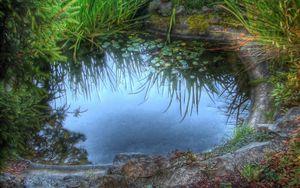 Preview wallpaper pool, grass, lake, lilies, stones, reflection