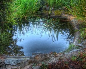 Preview wallpaper pool, grass, lake, lilies, stones, reflection