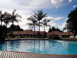 Preview wallpaper pool, lodges, rest, palm trees, sky