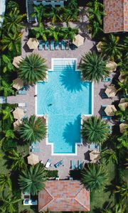 Preview wallpaper pool, palm trees, aerial view