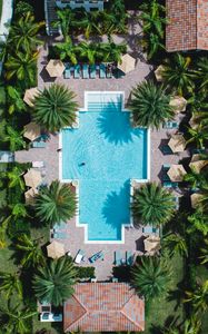 Preview wallpaper pool, palm trees, aerial view