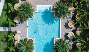 Preview wallpaper pool, palm trees, aerial view