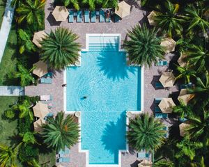 Preview wallpaper pool, palm trees, aerial view