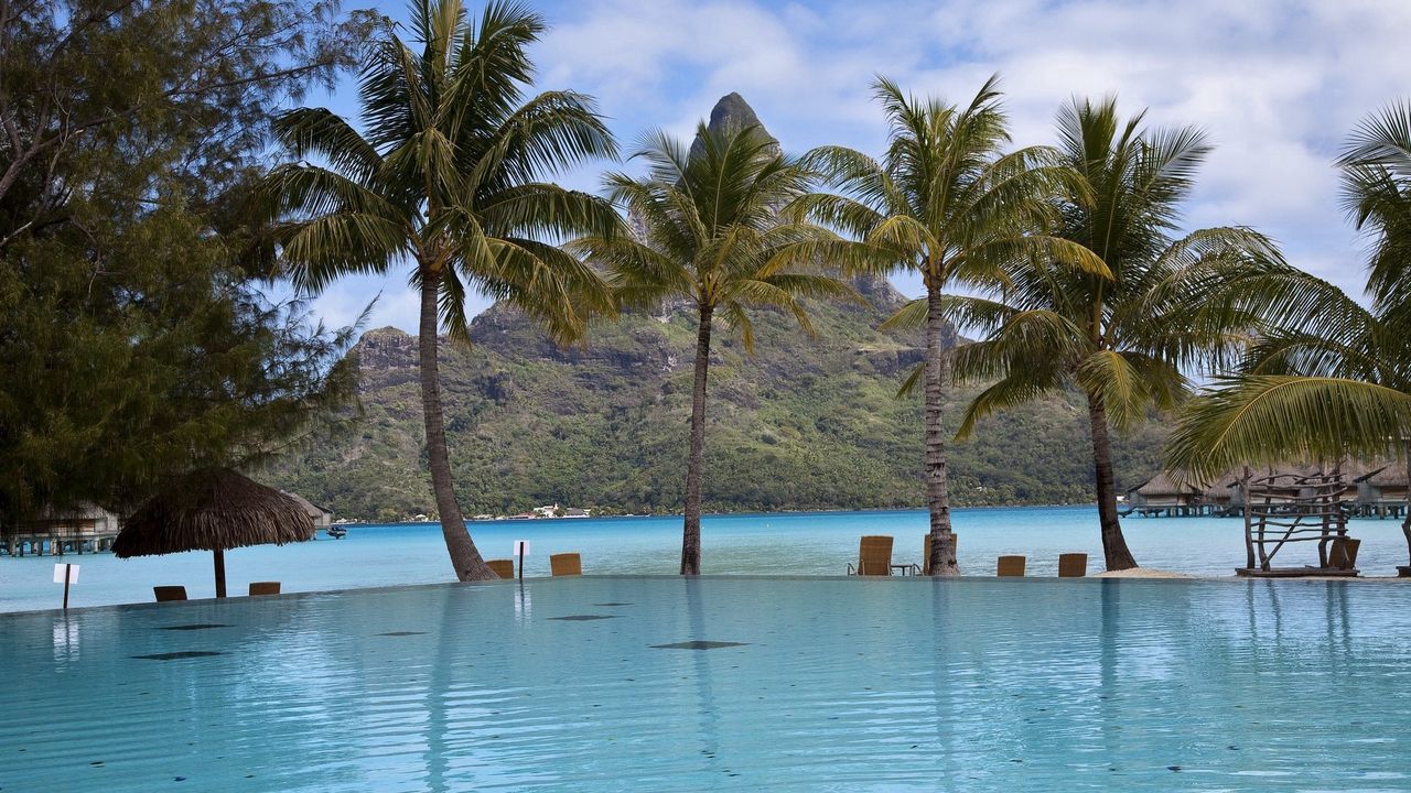 Wallpaper pool, palm trees, mountain, resort