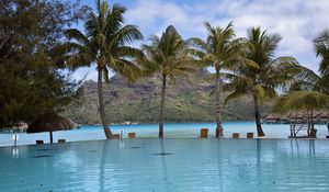 Preview wallpaper pool, palm trees, mountain, resort