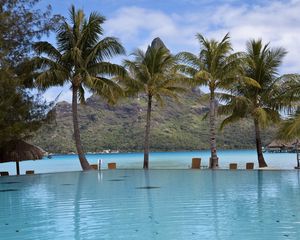 Preview wallpaper pool, palm trees, mountain, resort