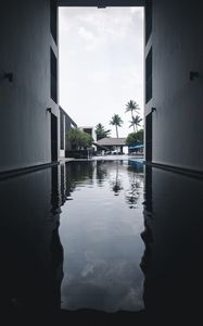 Preview wallpaper pool, water, buildings, palm trees, tropics