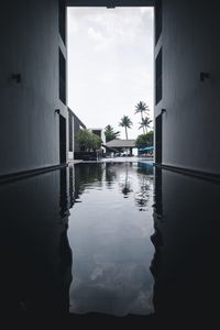 Preview wallpaper pool, water, buildings, palm trees, tropics