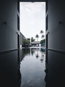 Preview wallpaper pool, water, buildings, palm trees, tropics
