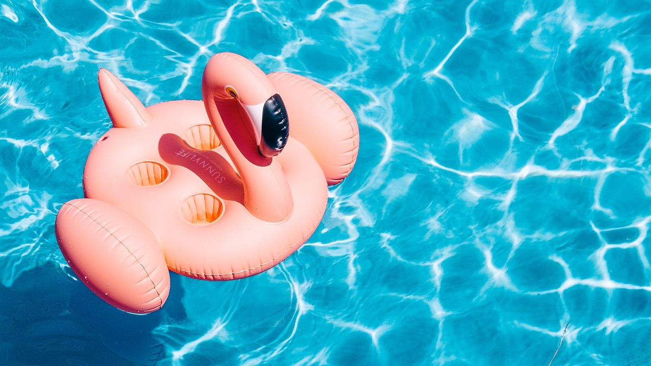 Wallpaper pool, water, flamingo, summer