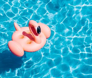 Preview wallpaper pool, water, flamingo, summer