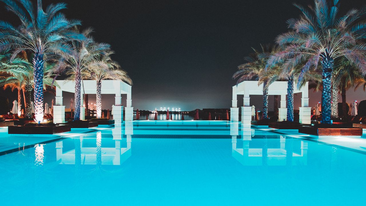 Wallpaper pool, water, palm trees, rest, luxury