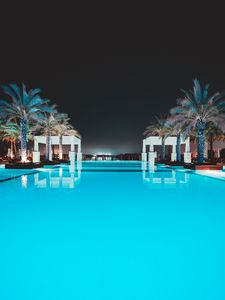 Preview wallpaper pool, water, palm trees, rest, luxury