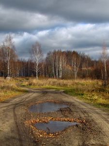 Preview wallpaper pools, road, country, wood, withering