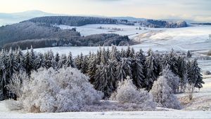 Preview wallpaper poppenhausen, germany, snow, forest