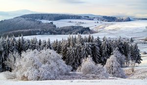 Preview wallpaper poppenhausen, germany, snow, forest