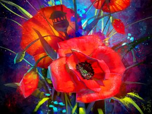 Preview wallpaper poppies, art, flowers, bouquet, red