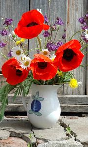 Preview wallpaper poppies, daisies, dandelions, flowers, field, flower, pitcher