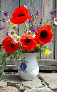 Preview wallpaper poppies, daisies, dandelions, flowers, field, flower, pitcher