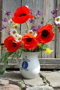 Preview wallpaper poppies, daisies, dandelions, flowers, field, flower, pitcher