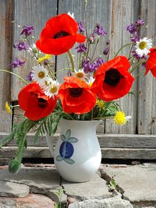 Preview wallpaper poppies, daisies, dandelions, flowers, field, flower, pitcher