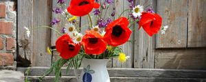 Preview wallpaper poppies, daisies, dandelions, flowers, field, flower, pitcher