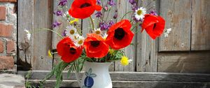 Preview wallpaper poppies, daisies, dandelions, flowers, field, flower, pitcher