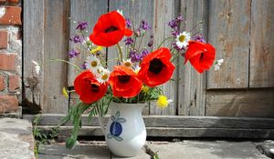 Preview wallpaper poppies, daisies, dandelions, flowers, field, flower, pitcher