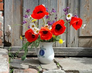 Preview wallpaper poppies, daisies, dandelions, flowers, field, flower, pitcher