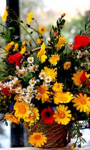 Preview wallpaper poppies, daisies, flowers, basket, bouquet