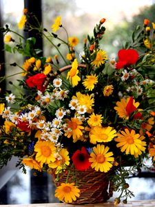 Preview wallpaper poppies, daisies, flowers, basket, bouquet