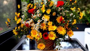 Preview wallpaper poppies, daisies, flowers, basket, bouquet