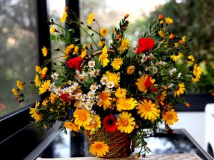 Preview wallpaper poppies, daisies, flowers, basket, bouquet