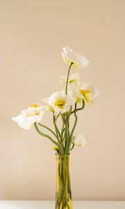 Preview wallpaper poppies, flowers, bouquet, vase, white