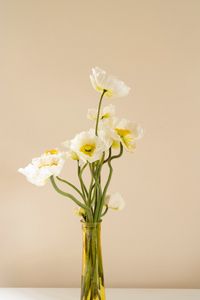 Preview wallpaper poppies, flowers, bouquet, vase, white