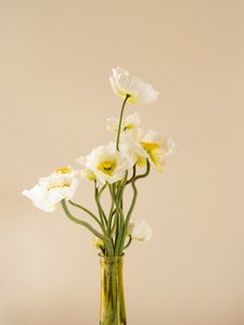 Preview wallpaper poppies, flowers, bouquet, vase, white