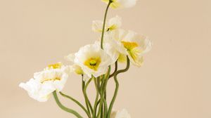 Preview wallpaper poppies, flowers, bouquet, vase, white