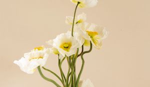Preview wallpaper poppies, flowers, bouquet, vase, white